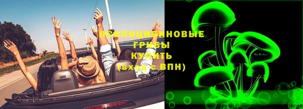 твердый Алексеевка